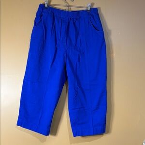 HC526. Whitefish Bay Womens Size L. 18 inseam Elastic Waist Pull On Blue Capris